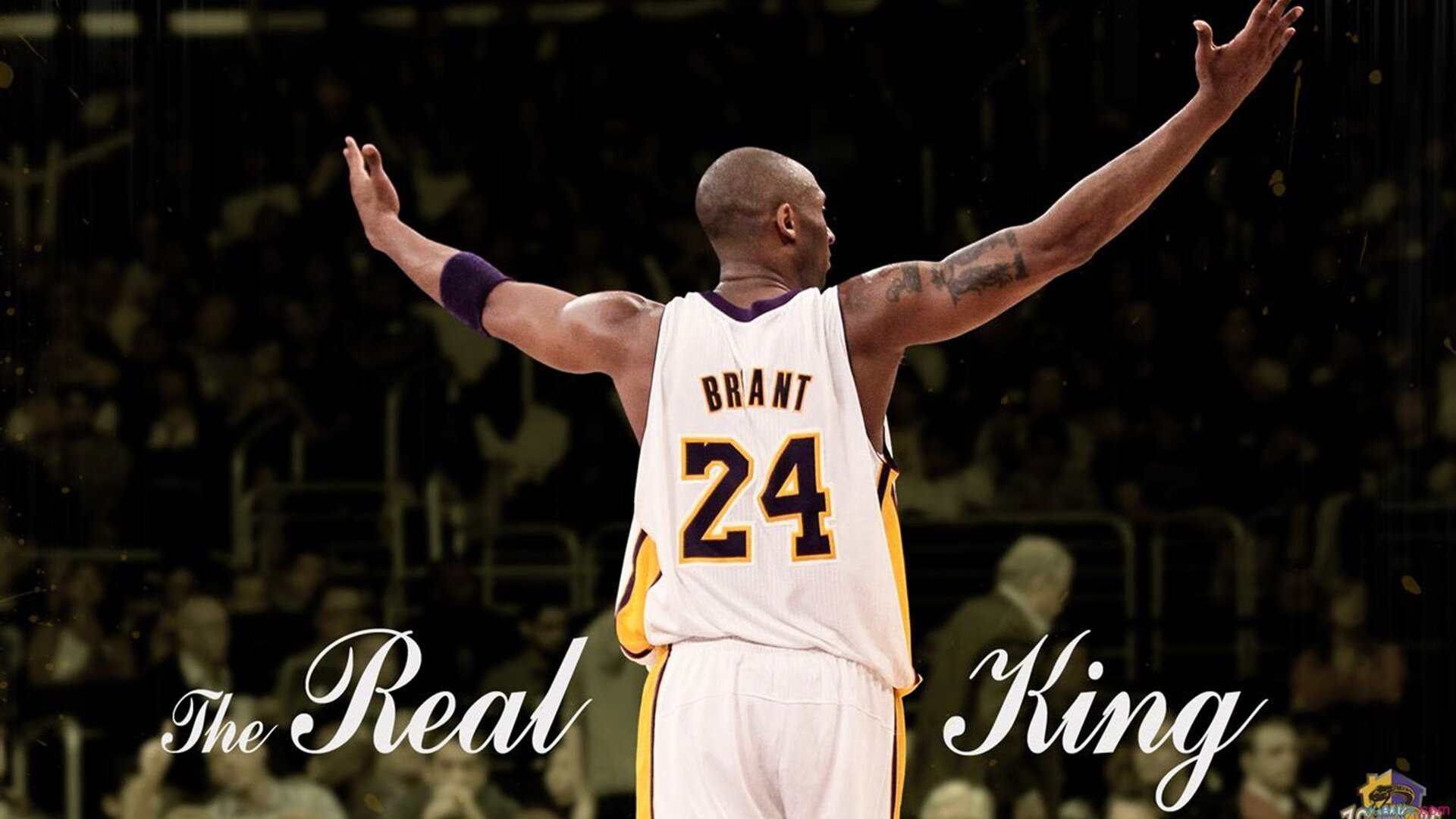 中国足球媒体与球迷之间的沟通误区与信任重建，中国足球球迷的心声