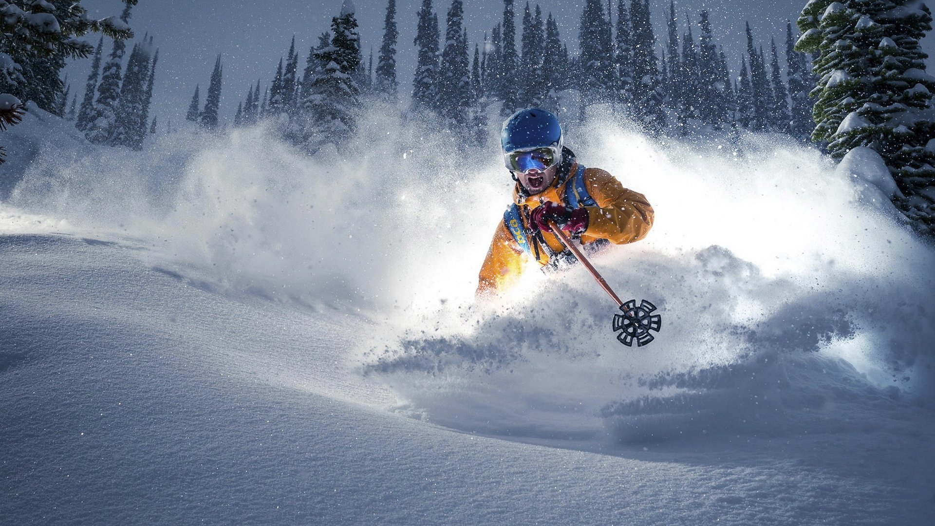 2026年国际板球赛季:亚洲队势头聚焦,板球国际赛事